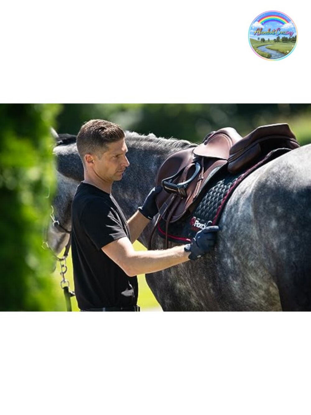 Equestrian Riding Gloves for Professional Riders - Picture 3 of 6